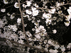 s_PICT0015_thumb.png